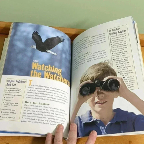 Raptor! A Kids Guide  to Birds of Prey - Picture 6 of 6